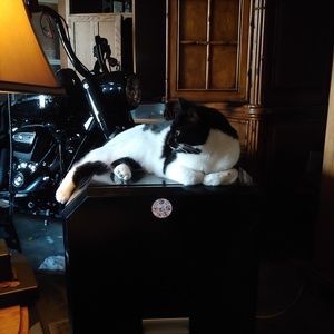 Meet your Posher, Greg